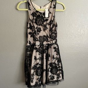 Black and Tan lace dress NWT